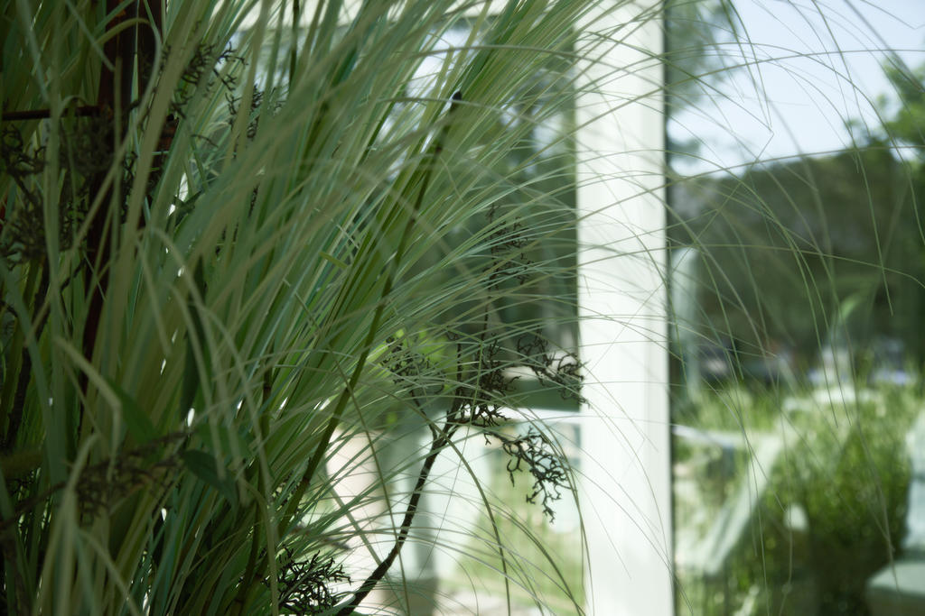 באד פיסינג Thermenhotel Quellenhof מראה חיצוני תמונה